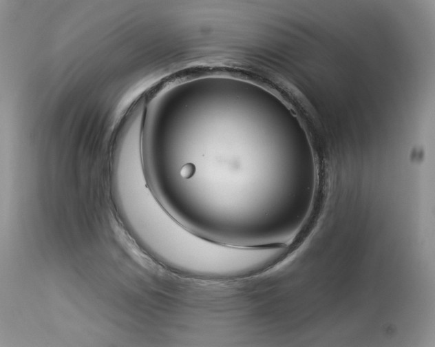X0000112831114200908211210