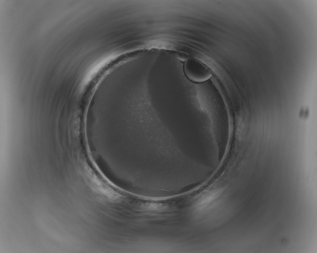 X0000112831115200908211210