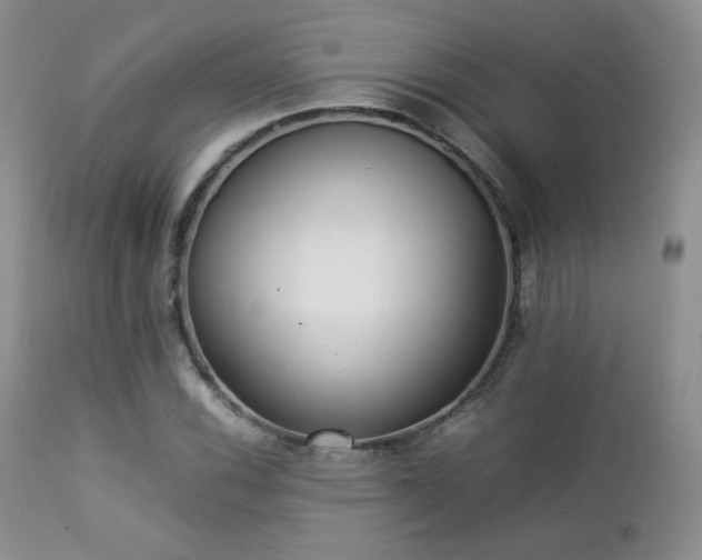 X0000112831116200908211210