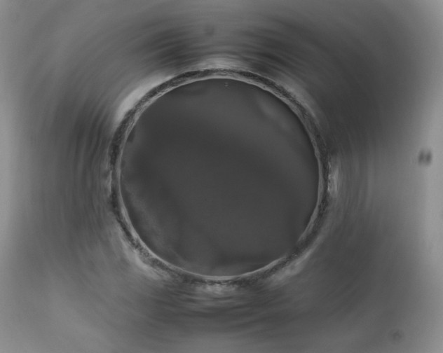 X0000112831117200908211210