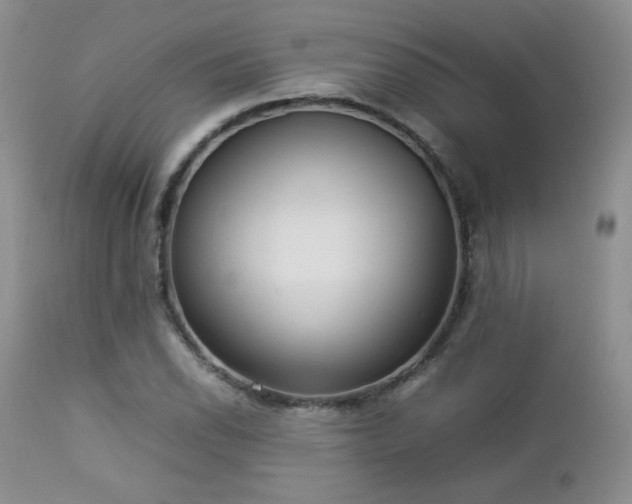 X0000112831118200908211210