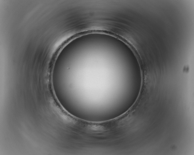 X0000112831119200908211210