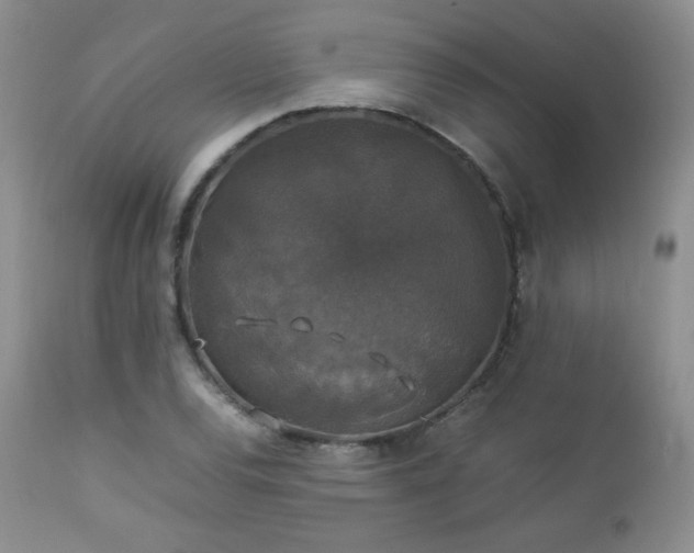 X0000112831120200908211210
