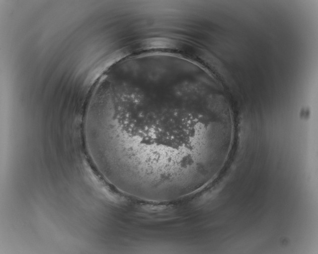 X0000112831121200908211210