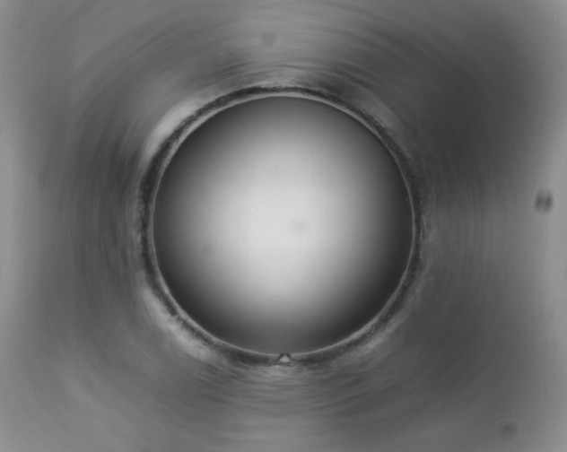 X0000112831122200908211210