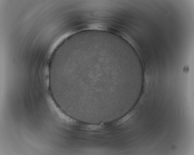 X0000112831123200908211210