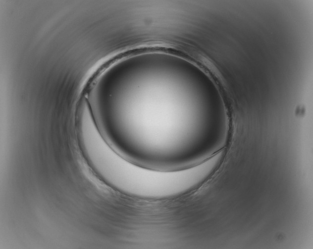 X0000112831124200908211210
