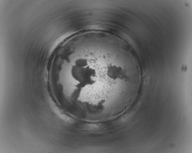 X0000112831125200908211210