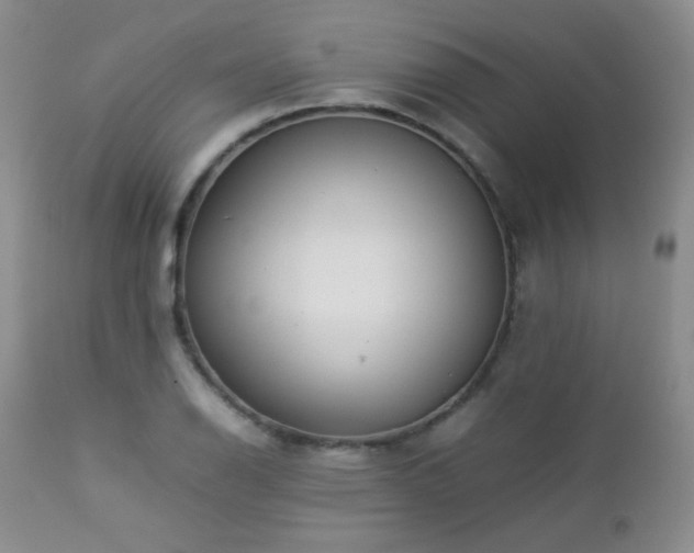 X0000112831126200908211210