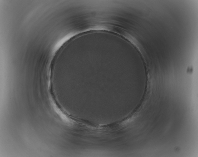 X0000112831127200908211210