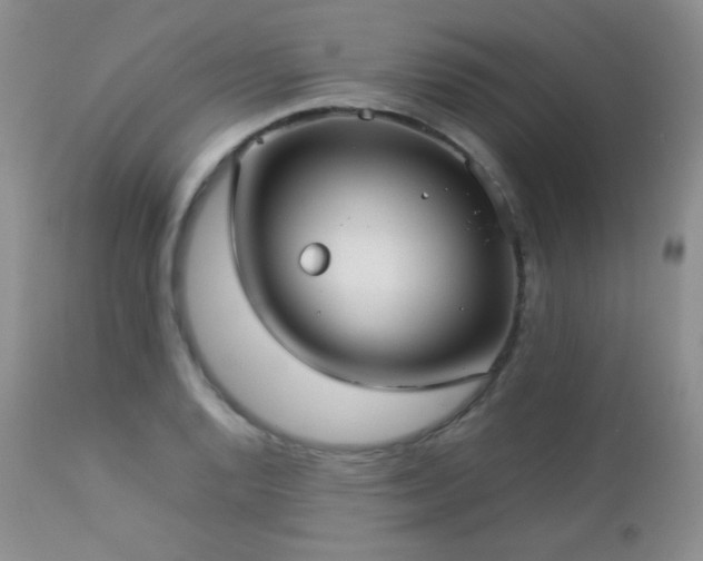 X0000112831128200908211210