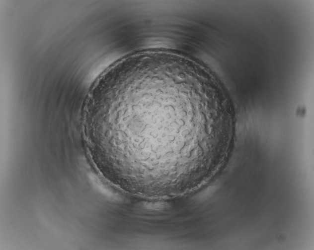 X0000112831129200908211210