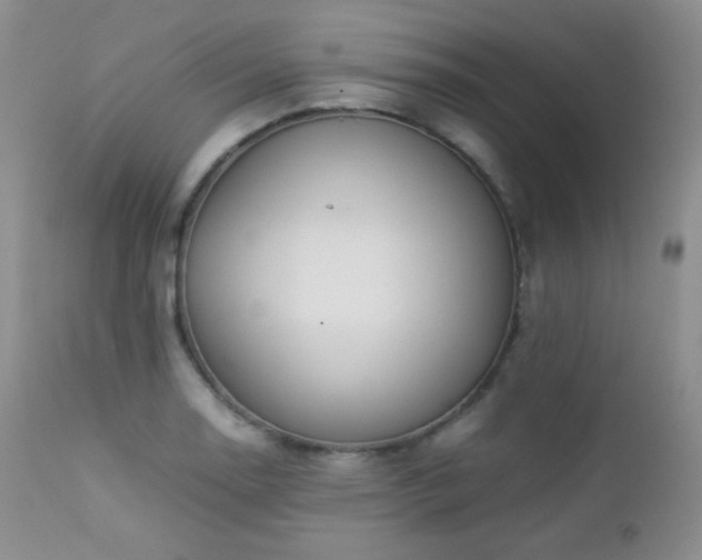 X0000112831130200908211210