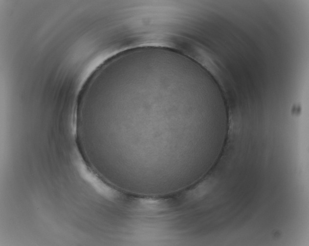 X0000112831132200908211210