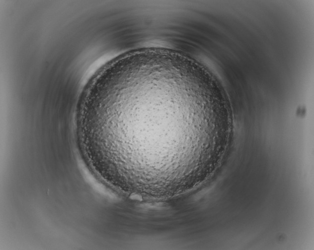 X0000112831133200908211210