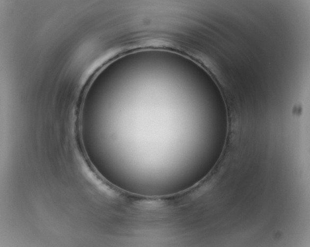 X0000112831134200908211210