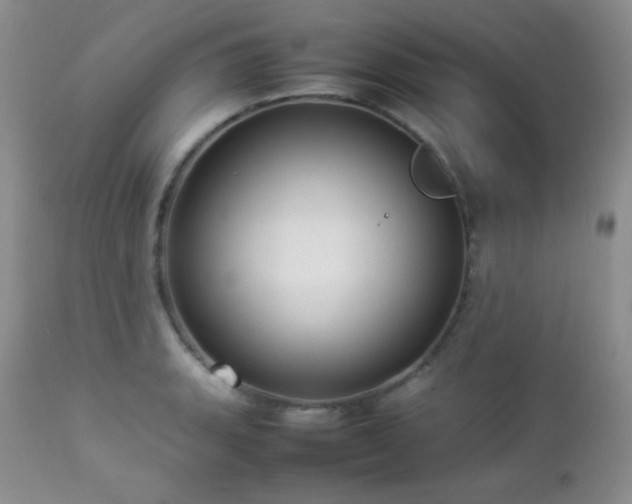 X0000112831135200908211210