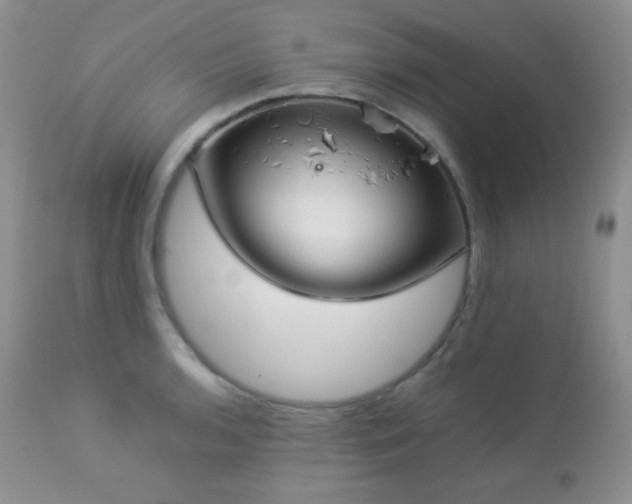 X0000112831136200908211210