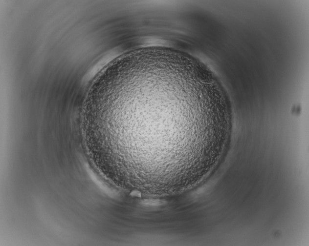 X0000112831137200908211210