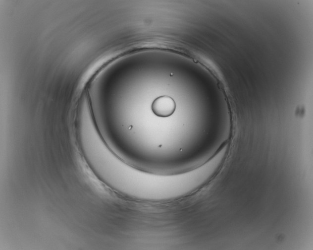 X0000112831138200908211210