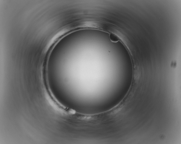 X0000112831139200908211210