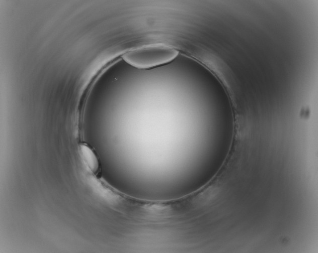 X0000112831140200908211210