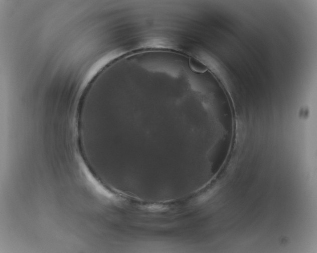X0000112831141200908211210