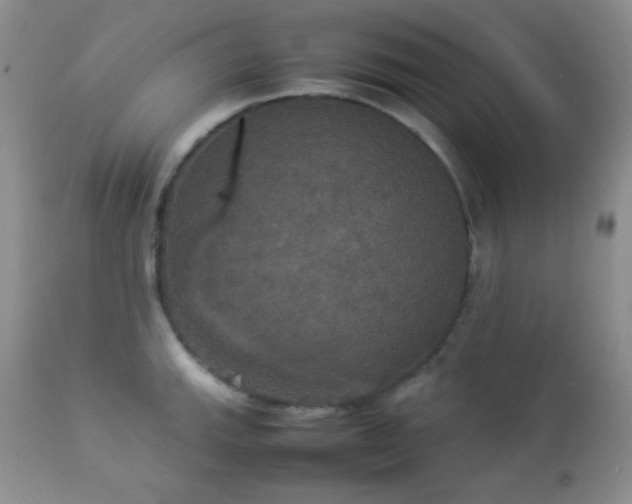 X0000112831143200908211210