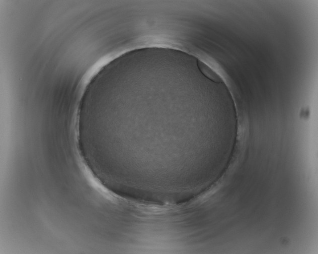 X0000112831144200908211210