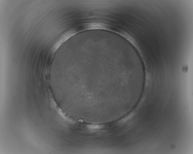 X0000112831145200908211210