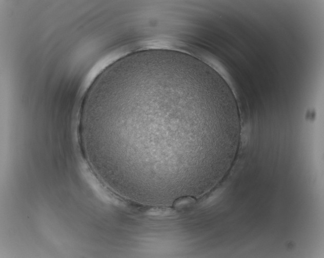 X0000112831146200908211210