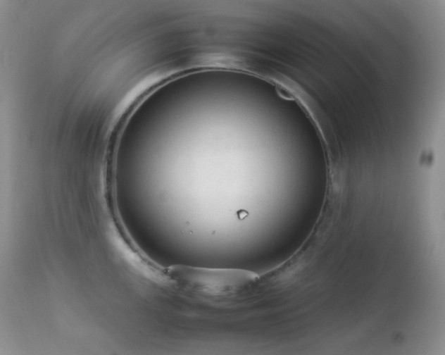 X0000112831147200908211210