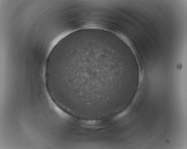 X0000112831149200908211210