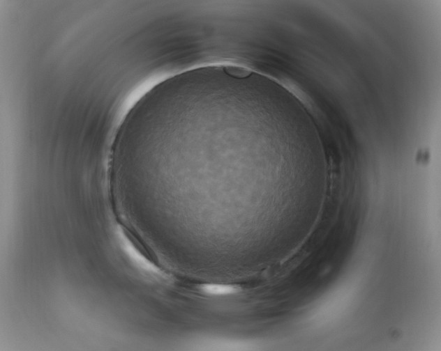 X0000112831151200908211210