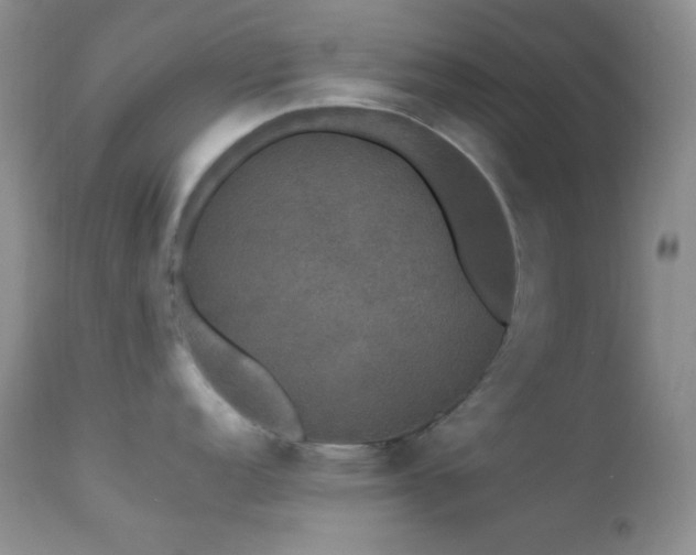 X0000112831152200908211210