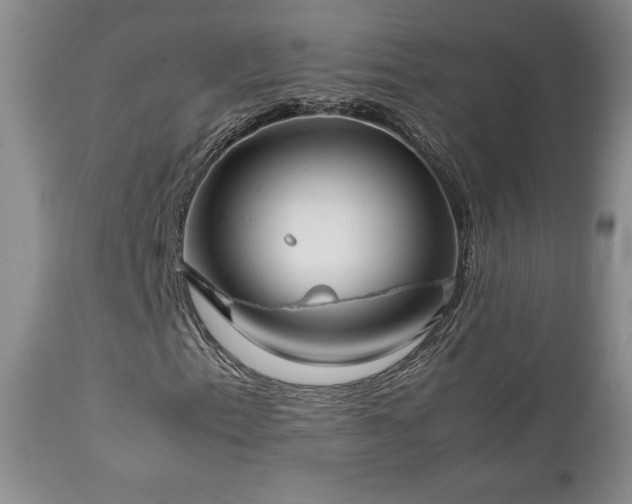 X0000112831153200908211210