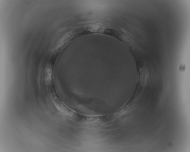 X0000112831154200908211210
