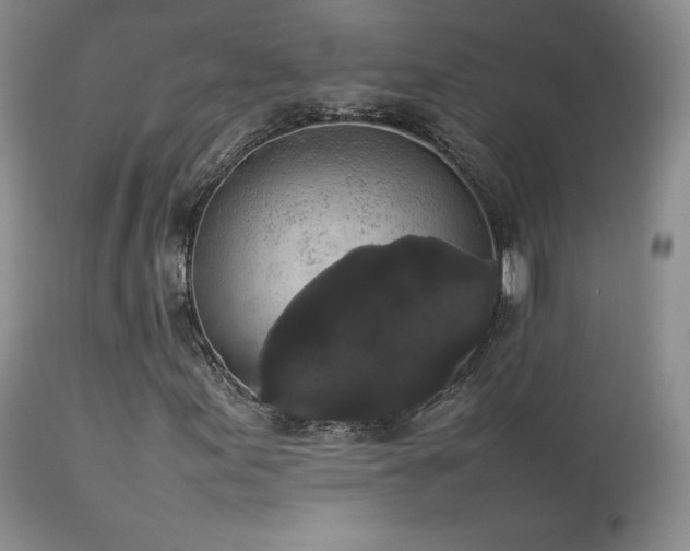 X0000112831155200908211210