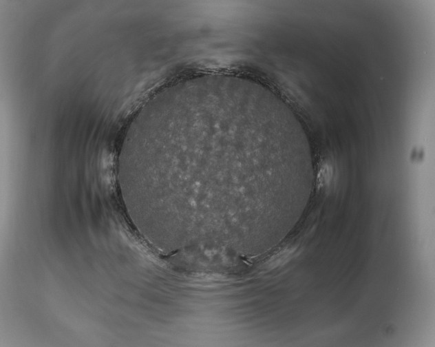 X0000112831156200908211210