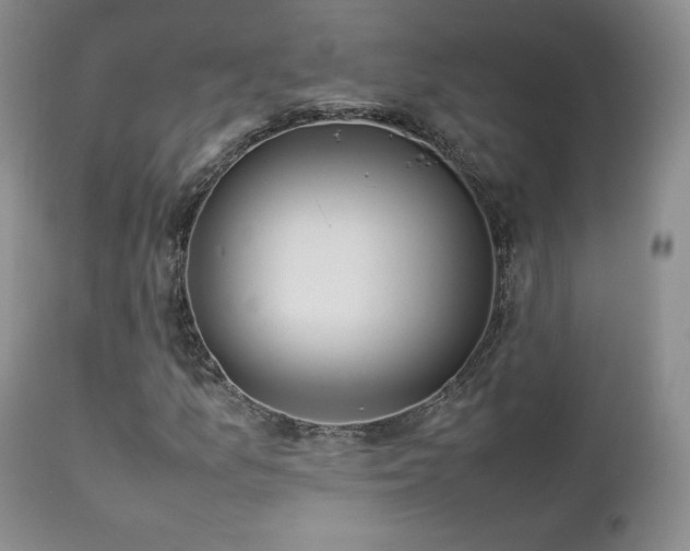 X0000112831157200908211210