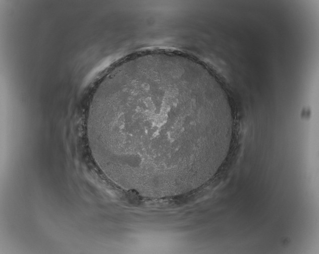 X0000112831159200908211210