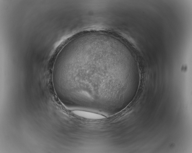 X0000112831160200908211210