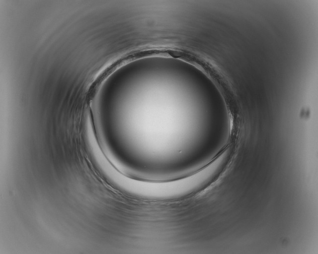 X0000112831162200908211210