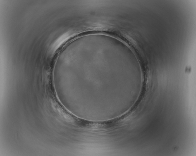 X0000112831163200908211210