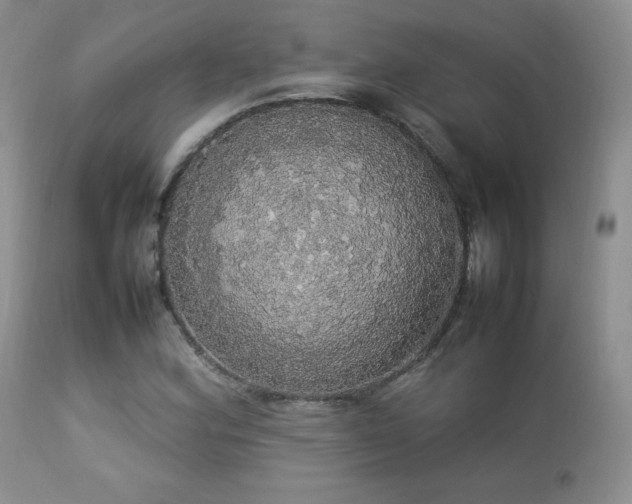 X0000112831164200908211210