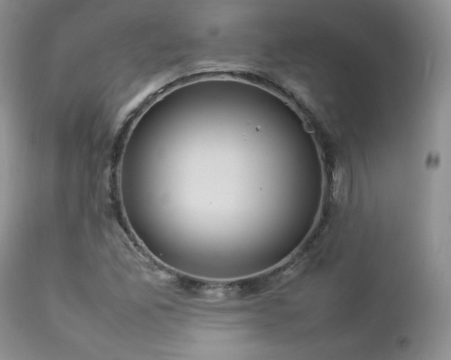 X0000112831165200908211209