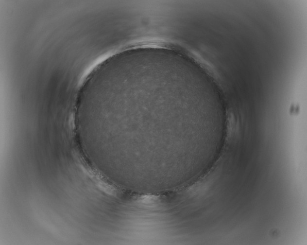 X0000112831166200908211209