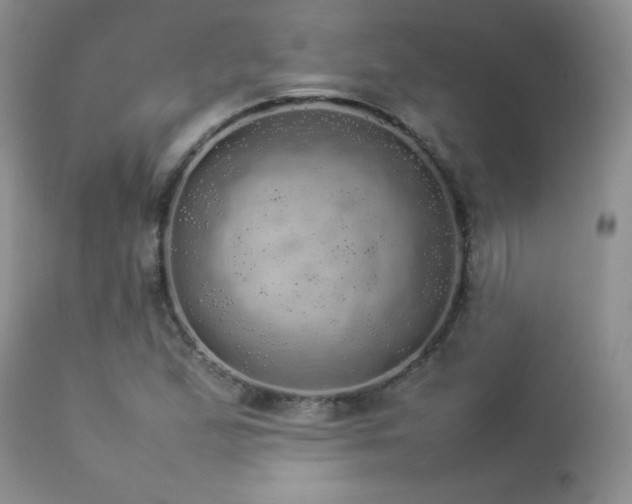 X0000112831167200908211209