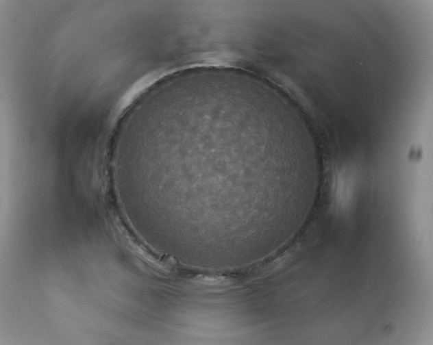 X0000112831168200908211209