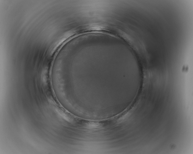 X0000112831170200908211209